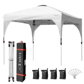 GrandShoppersHub  10' x 10' Outdoor Pop-up Canopy Tent Height Adjustable with Roller Bag